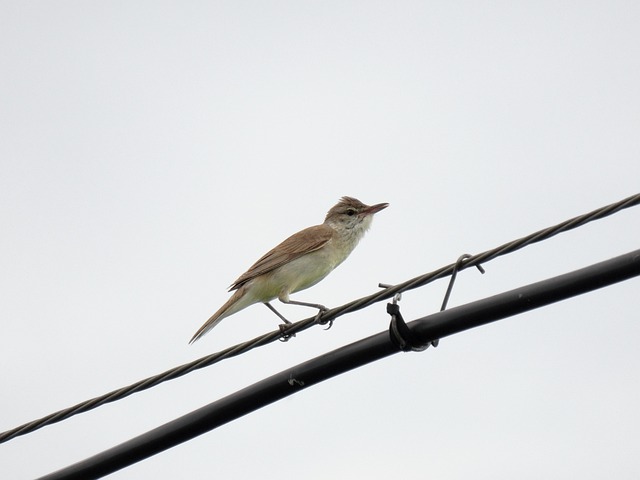 온라인소개팅사이트 관련 이미지 3