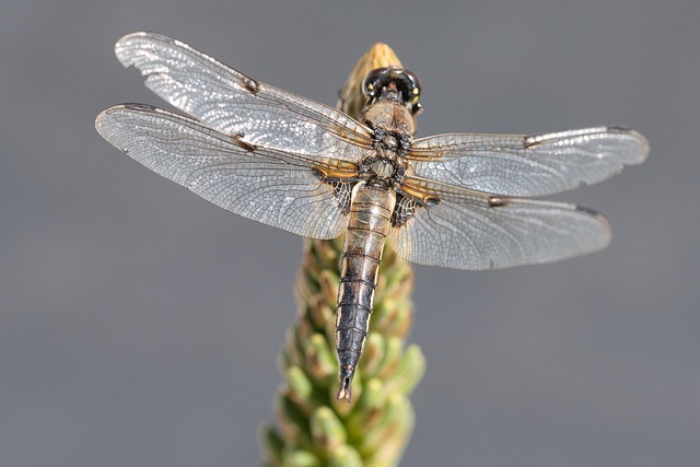 소개팅어플순위 관련 이미지 3