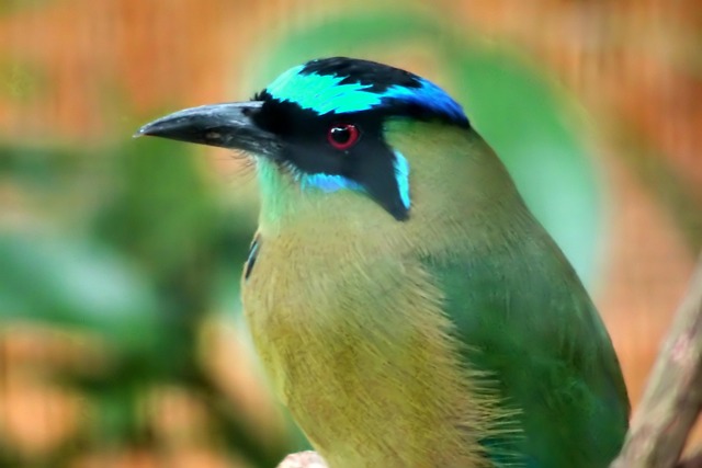 소개팅앱추천 관련 이미지 2