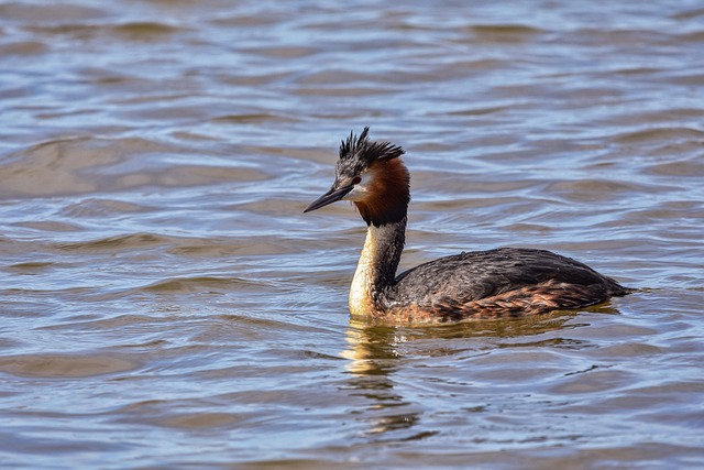 소개팅사이트 관련 이미지 3