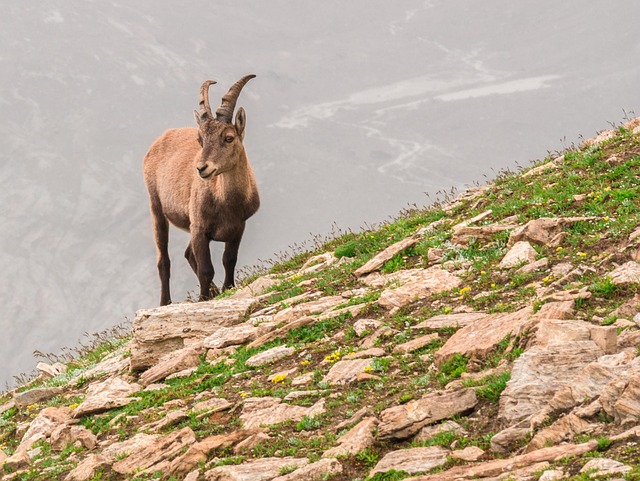 만남앱추천 관련 이미지 2