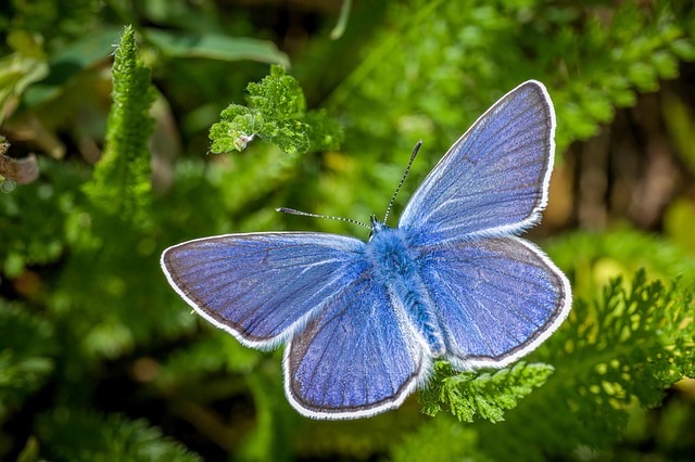 아만다매칭 관련 이미지 2