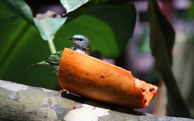 소개팅앱 관련 이미지 3
