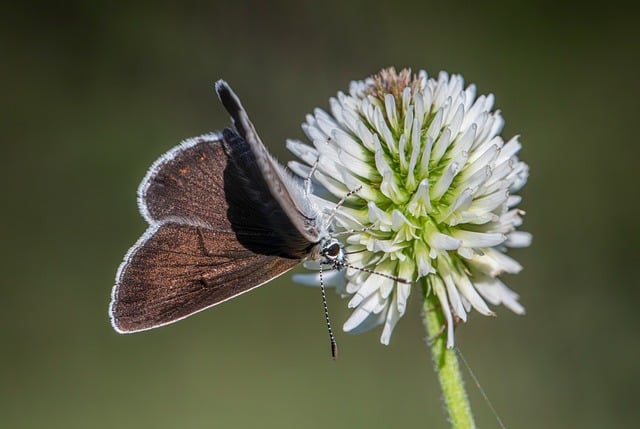 아만다매칭 관련 이미지 1