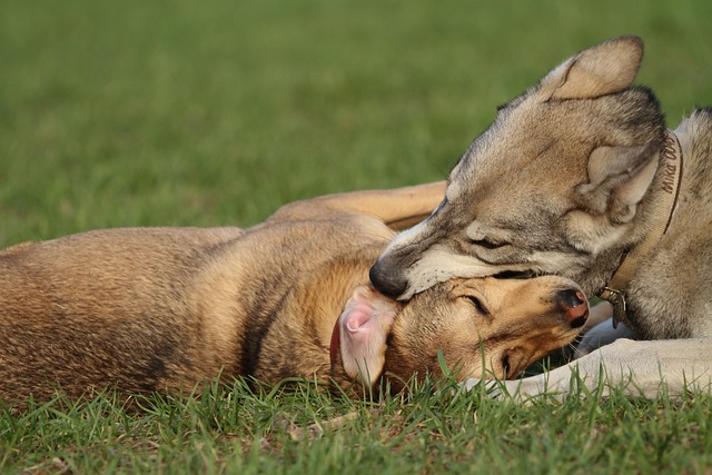 소개팅앱순위 관련 이미지 1