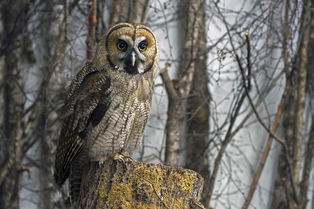 소개팅앱추천 관련 이미지 1