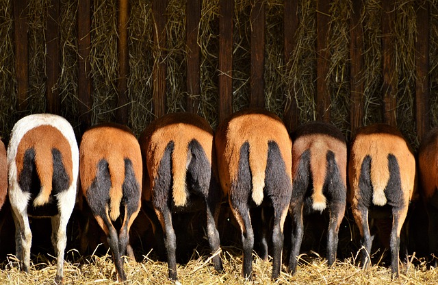 소개팅앱순위 관련 이미지 3